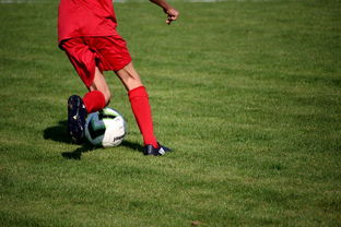 中国篮球青年运动员选拔体系研究，中国篮球国家青年队选拔方式